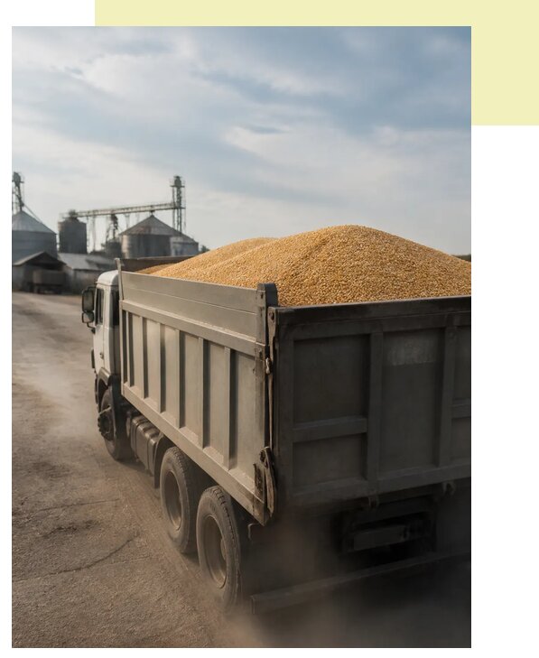 Перевозка сельхозпродукции навалом в Балтийск по цене от 3059 р. | Агросервис-Блт