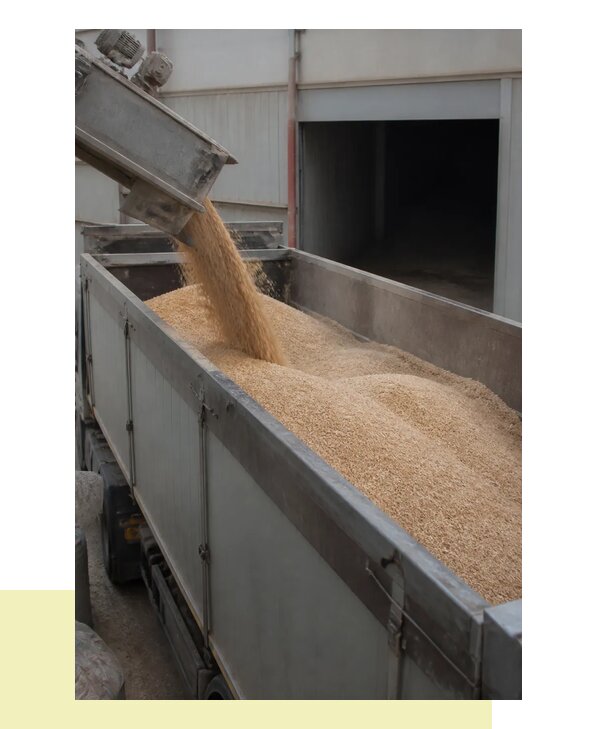 Перевозка отрубей в Балтийск с гарантией сохранности груза